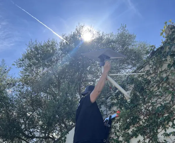 Dron sobrevolando un cultivo arbolado durante una campaña de campo